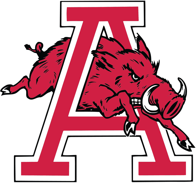 Arkansas Razorbacks 1974-1993 Alternate Logo diy DTF decal sticker